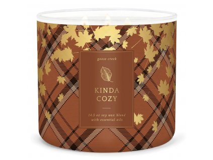 kinda cozy 3 docht kerze 411g
