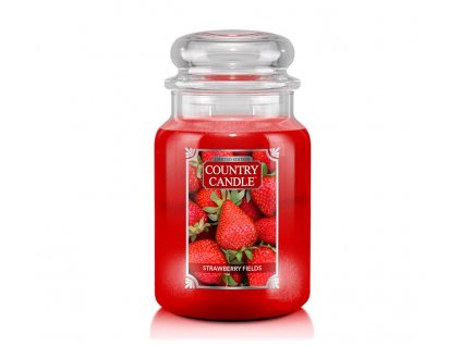 cc large jar strawberry fields 650x875 2