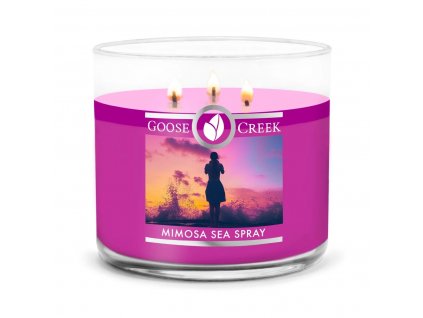 mimosa sea spray 3 docht kerze 411g