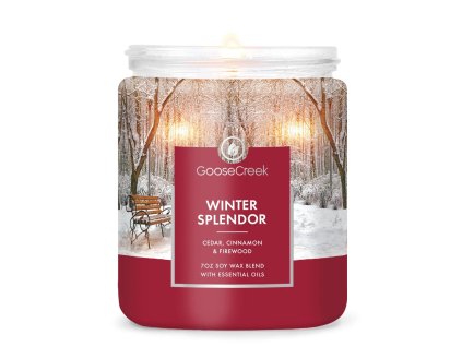 winter splendor 1 docht kerze 198g