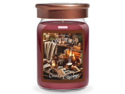 vyr 10271Cenne vzpominky 624g