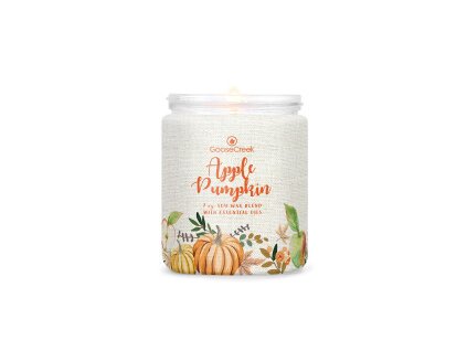 apple pumpkin 1 docht kerze 198g 1
