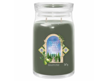 yankee candle 2642888e olive cypress signature large jar 1