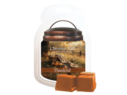 Thankful 75c5e234 67de 4010 9c50 e5e3d1f573ed