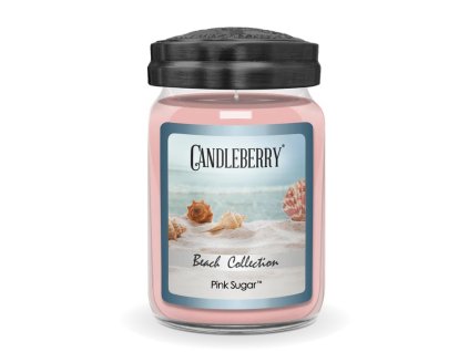 beach collection pink sugar large jar candle beach collection large jar candle the candleberry candle company 635378 704x704