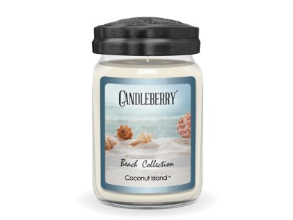 beach collection coconut island large jar candle beach collection large jar candle the candleberry candle company 202736 704x704