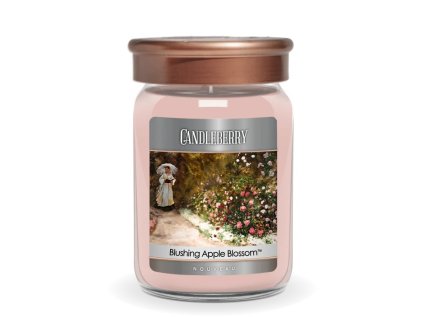 nouveau blushing apple blossom large jar candle nouveau large jar candle the candleberry candle company 115290 704x704