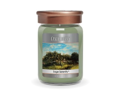 nouveau sage serenity large jar candle nouveau large jar candle the candleberry candle company 704134 704x704