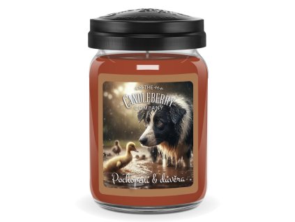 Pochopení & Důvěra (Friendship Tea) 624g