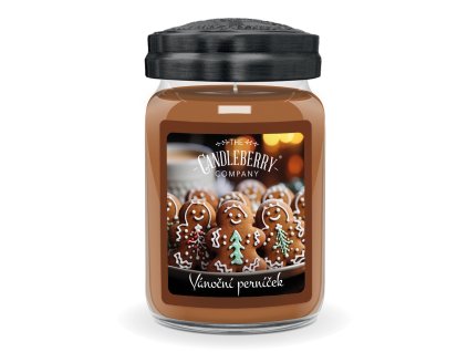 Vánoční perníček (Gingerbread Village) 624g