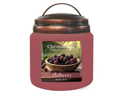 Snímek obrazovky 2025 11 18 193732