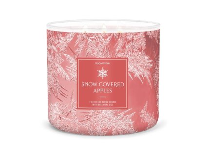 goose creek snow covered apple 3 docht