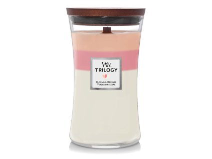 87fa7c3f 0b58 43b9 9903 d4d9fd2f7155