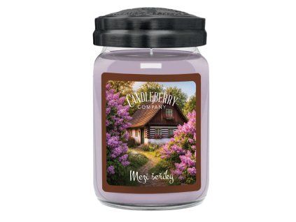 Mezi šeříky 624g