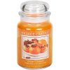 orange cinnamon large apothecary candle 4260026