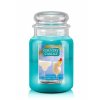 cc coconut colada large jar 1000x