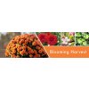 Blooming Harvest Fragrance Notes d9bf4110 6150 44ae 90ee 3fba351da8f8