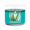 Goose Creek Candle svíčka Desert Rain & Aloe, 411 g