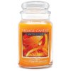 citrus twist lg apothecary candle 4260311
