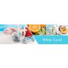 White Coral Candle Fragrance
