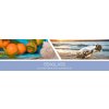 NF Seaglass Fragrance Banner