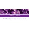 lavender vanilla tranquil 3 docht kerze 411g 2