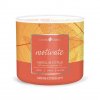 neroli citrus motivate 3 docht kerze 411g