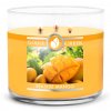 Seaside Mango Large 3 Wick Candle 1024x1024