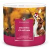 Dreaming of Autumn 3 Wick Large Candle 1024x1024
