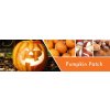 Pumpkin Patch Fragrance Notes 7affe9d8 dc59 4010 a424 4a23c4d92991