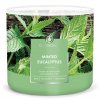 minted eucalyptus 3 docht kerze 411g