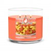 peach rings 3 docht kerze 411g