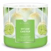 key lime cake pop large 3 wick candle goose creek candle 1024x1024
