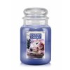 CC large jar blueberry cream pop 650x875 5dbaa693 83cc 4d8c 881c d0d51662a38c 1000x (1)
