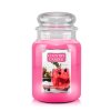 CC large jar dragonfruit lemonade 650x875 7bbbb860 fbd6 4d73 aceb 94856a6772f5 1000x