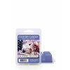 cc wax melt blueberry cream pops 650x875 6f2119e9 5029 49ec a5ba 535a478d10f6 1000x