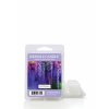 KC wax melt wisteria 650x875 33c80e24 adba 4989 a37f 93f46e11635c 1000x