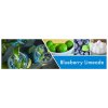blueberry limeade 3 docht kerze 411g 2