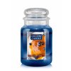 CC large jar blueberry maple 650x875 adaaf5b2 b1aa 4c83 92b4 602966ac5596 1000x