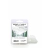 wax melt winter evergreen 650x875 7b4738d4 e858 428a 92fc 3c9b084cba3b 650x