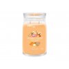 Yankee Candle Signature svíčka velká Mango Ice Cream, 567g