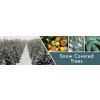 Snow Covered Trees Banner (1)