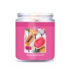 dragonfruit splash 1 docht kerze 198g
