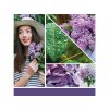 40502 LILAC BLOSSOM KOPIE (4)