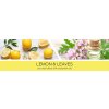 lemon & leaves banner (1)