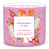 Odor Eliminating Dragonfruit Splash Large 3 Wick Candle