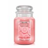 CC LE large jar pink citrus 650x875 2fbf569e 4183 4fed a043 939256829cc2