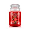 cc large jar strawberry fields 650x875 2