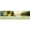 eucalyptus mist banner