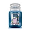 CC large jar blueberry milkshake 650x875 041aeff0 cd8c 4eaa a89c 328be480d6eb